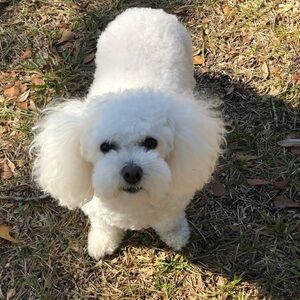 Meet your Posher, Rhonda